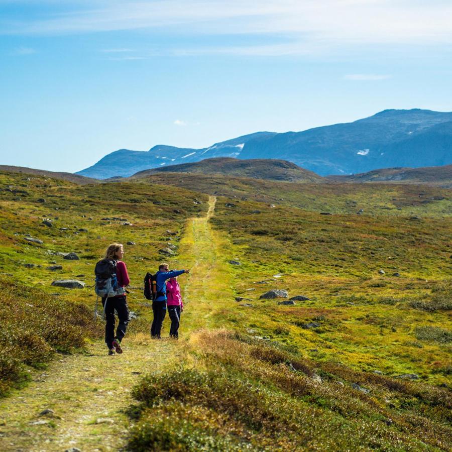 Sommerhotellet Vang I Valdres Екстериор снимка